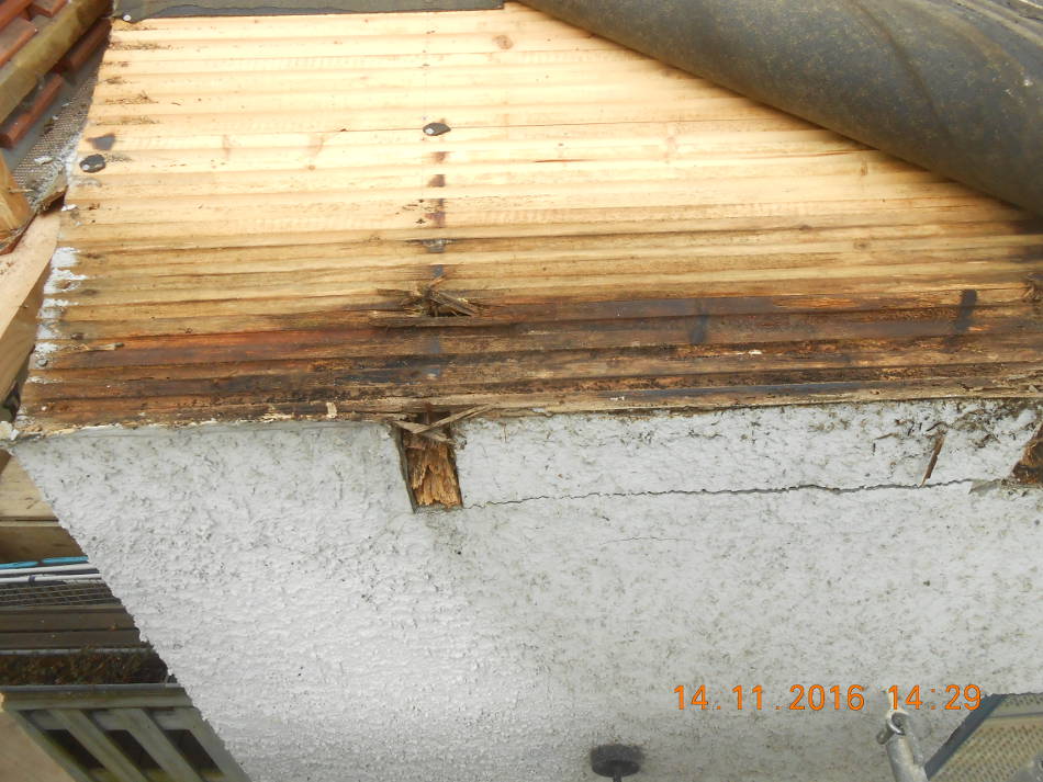 Ein Fäulnisschaden an einer Sichtdachschalung