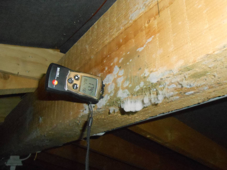 Ein von Schimmelilz befallener Dachbalken